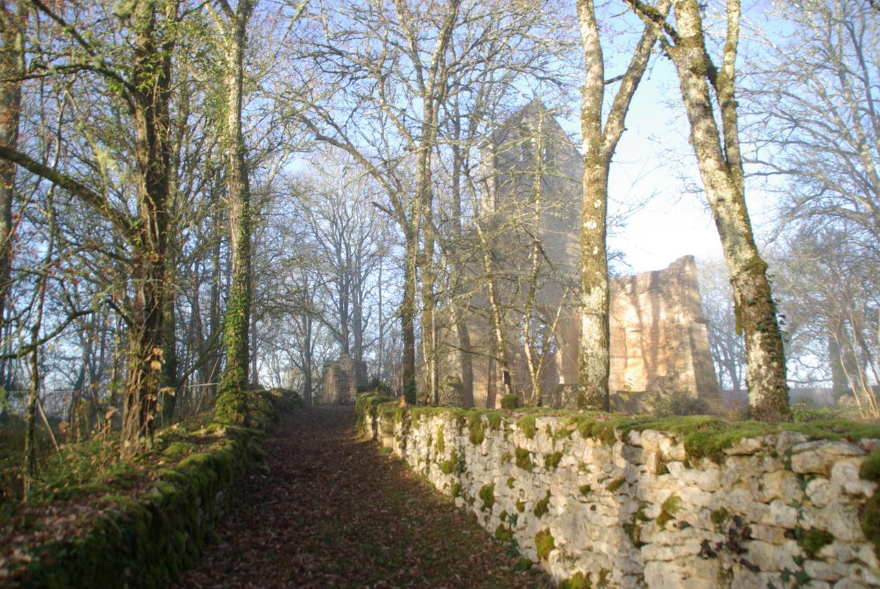 Les Maisons Du Cheylard-Lascaux Villa Les Farges  Buitenkant foto
